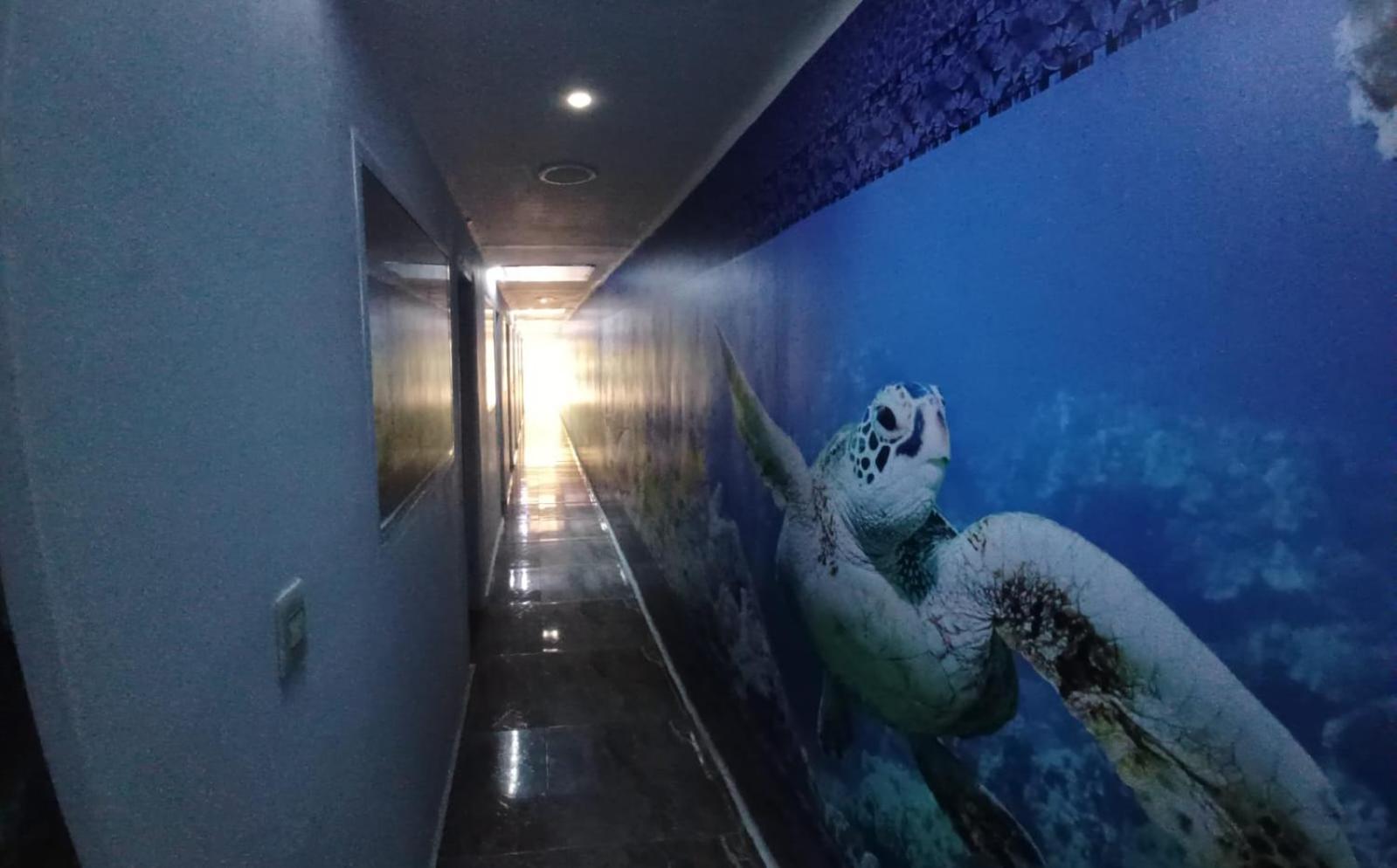 Hotel Dmauro Cartagena Buitenkant foto